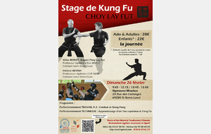 Stage KUNG FU Dimanche 26 février