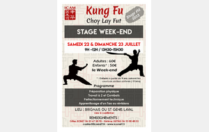 Stage Kung Fu Week-end