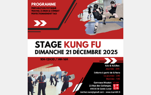 Stage journée KUNG FU : Dimanche 21 décembre