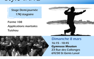Stage Tai Chi Chuan : dimanche 8 mars